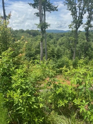 LT 104 River Knoll Trail, Ellijay, GA 30540 - #3