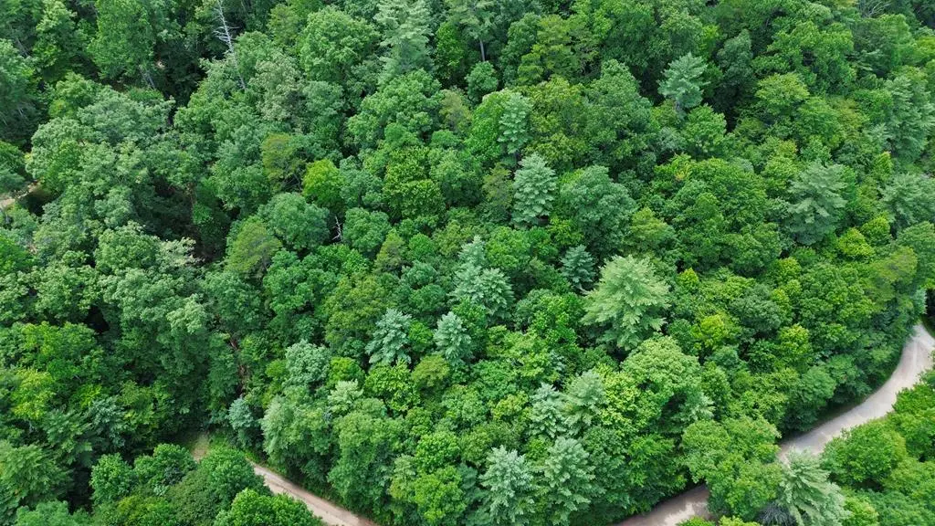 Lot 59 Quiet Mountain Trail, Murphy, NC 28906 - #1