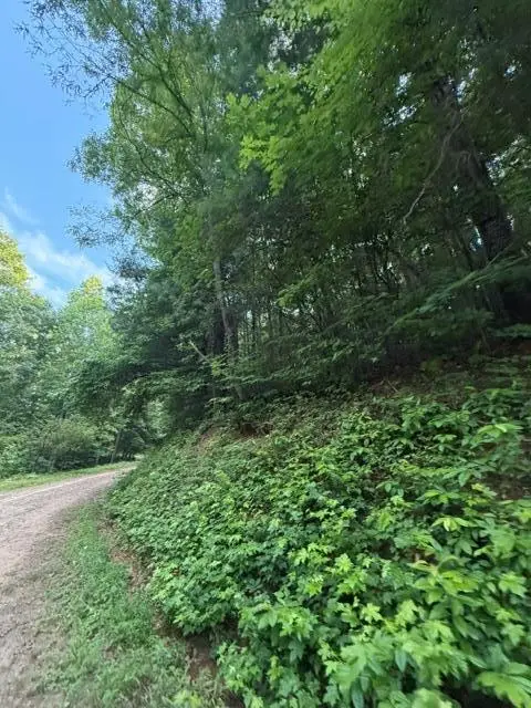 Lot 59 Quiet Mountain Trail, Murphy, NC 28906 - #2