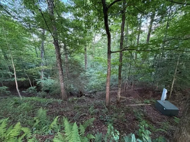 Lot 59 Quiet Mountain Trail, Murphy, NC 28906 - #3