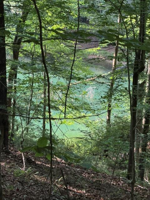 Lot 37 Quiet Waters, Murphy, NC 28906 - #1