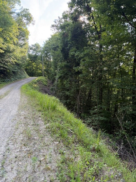 Lot 37 Quiet Waters, Murphy, NC 28906 - #2