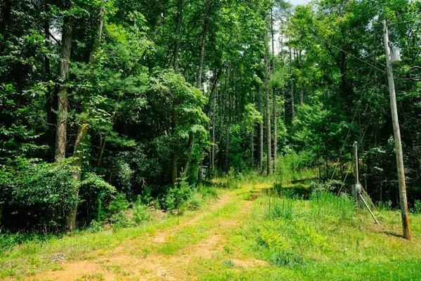 Lot 11 Quail Cove Circle, Warne, NC 28909