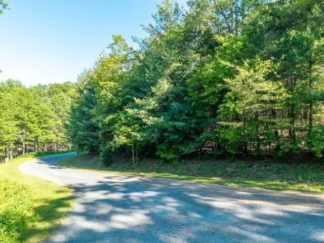 LOT 52 Creek Trail, Ellijay, GA 30540 - #1