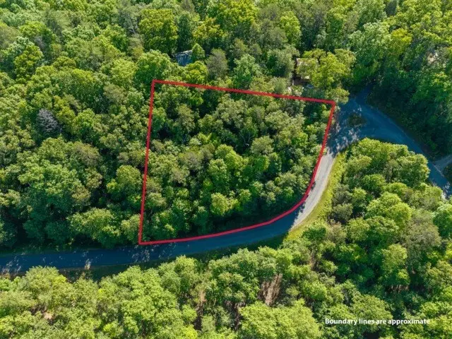 LOT 52 Creek Trail, Ellijay, GA 30540 - #2