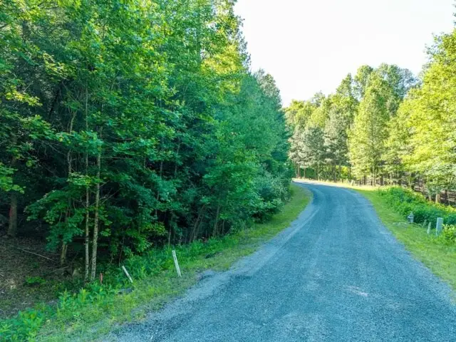 LOT 52 Creek Trail, Ellijay, GA 30540 - #3