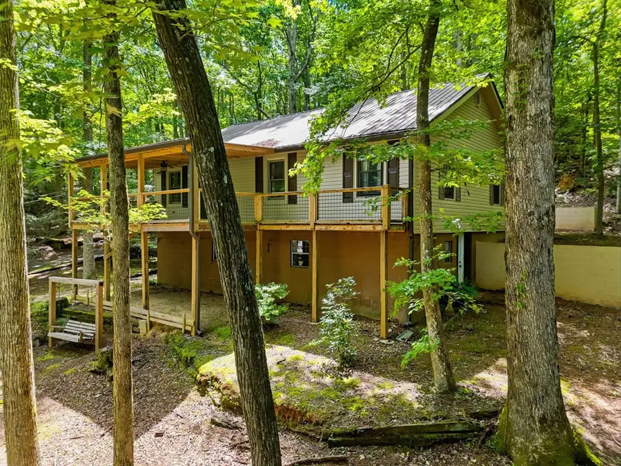 629 Goose Island, Cherry Log, GA 30522 - #3
