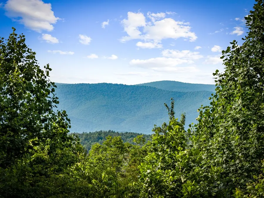 290 Old Anderson Creek, Ellijay, GA 30536 - #3