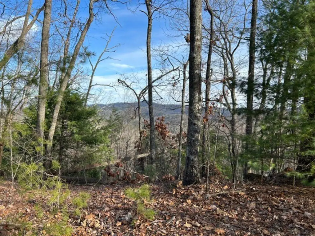 Lot 46 Mission Ridge, Hayesville, NC 28904 - #1