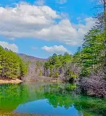 00 Golden Delicious Road, Clarkesville, GA 30523 - #1