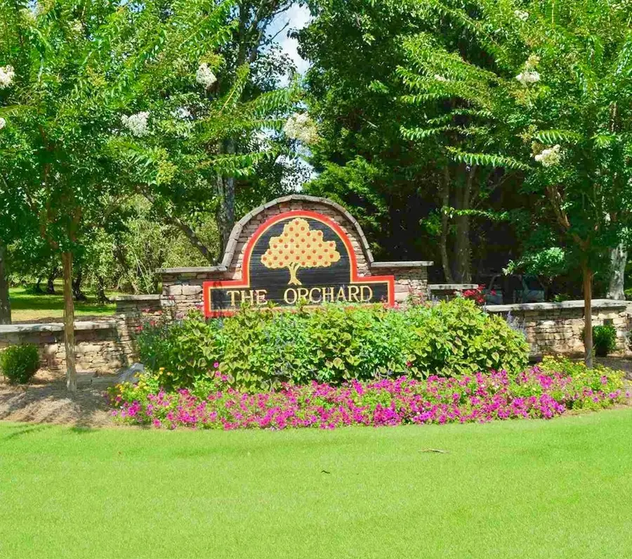 00 Golden Delicious Road, Clarkesville, GA 30523 - #3