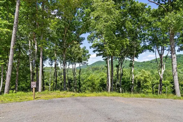 Lot 54 Hickory Lane, Mineral Bluff, GA 30559