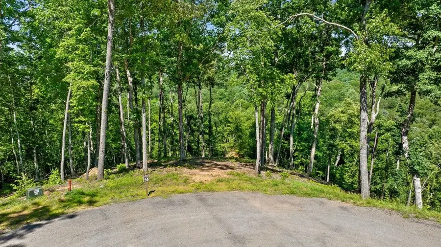 Lot 54 Hickory Lane, Mineral Bluff, GA 30559 - #2