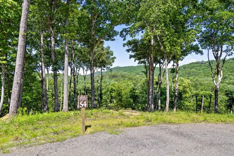 Lot 54 Hickory Lane, Mineral Bluff, GA 30559 - #3