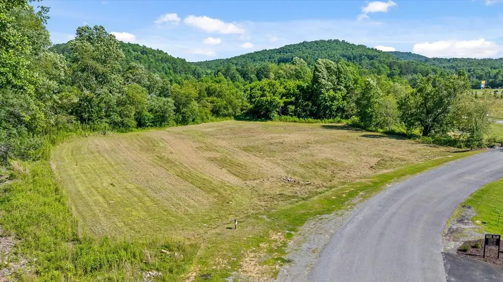 Lot 1 Ridge Dr, Morganton, GA 30560 - #1
