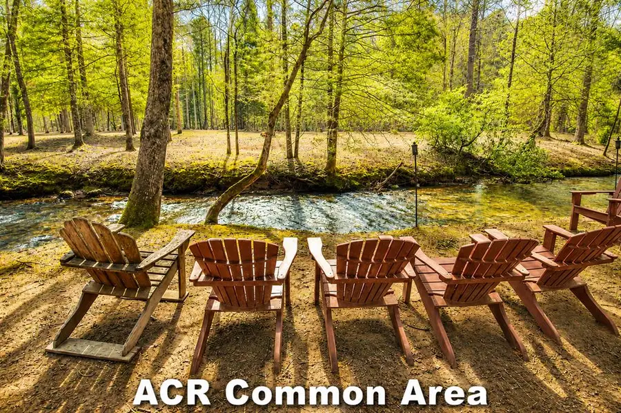 245 Old Anderson Creek, Ellijay, GA 30536 - #3