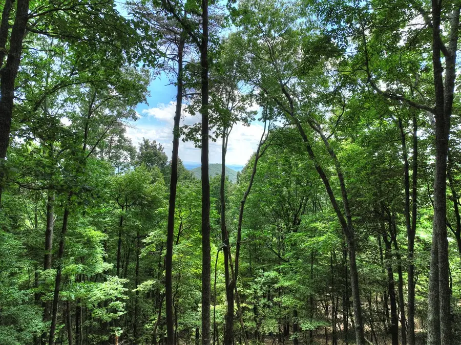 388 Walnut Ridge, Ellijay, GA 30536 - #3