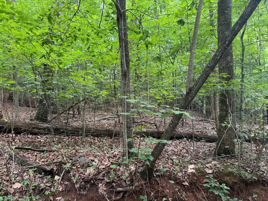 25 Mccracken Cove Road, Hayesville, NC 28904 - #3