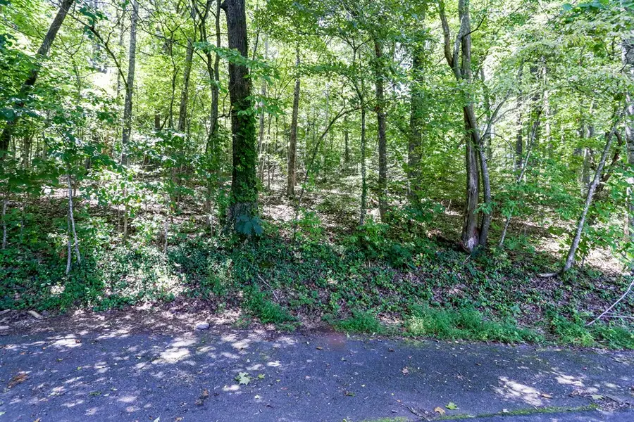 Lot 6A Kilpatrick Point, Hayesville, NC 28904 - #3