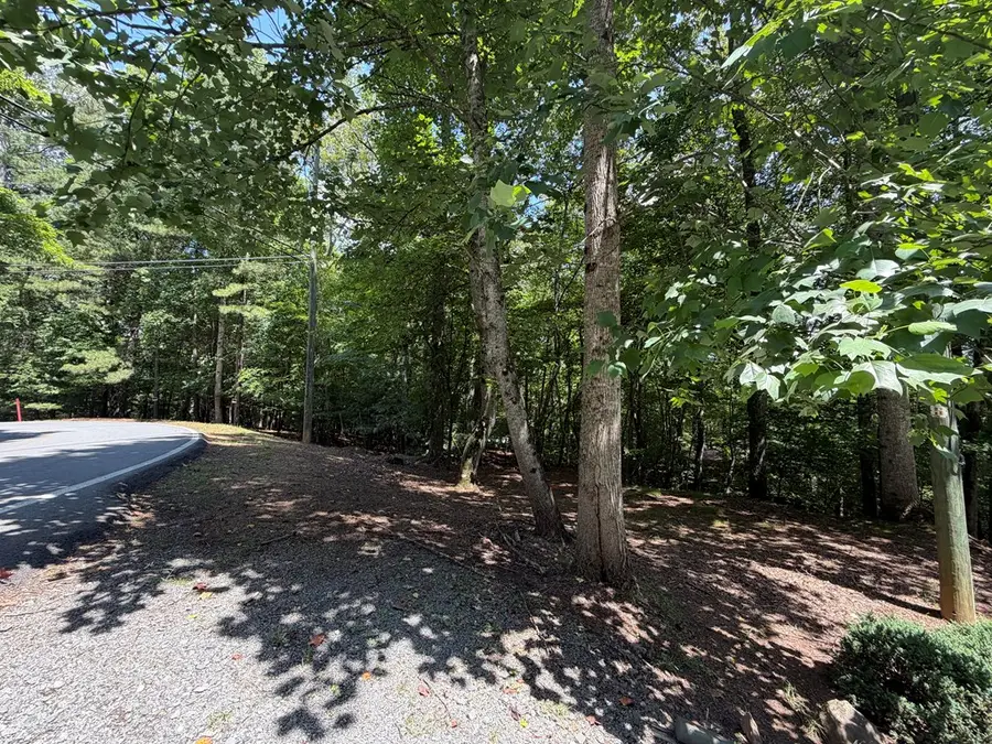 3545 Newport Drive, Ellijay, GA 30540 - #2