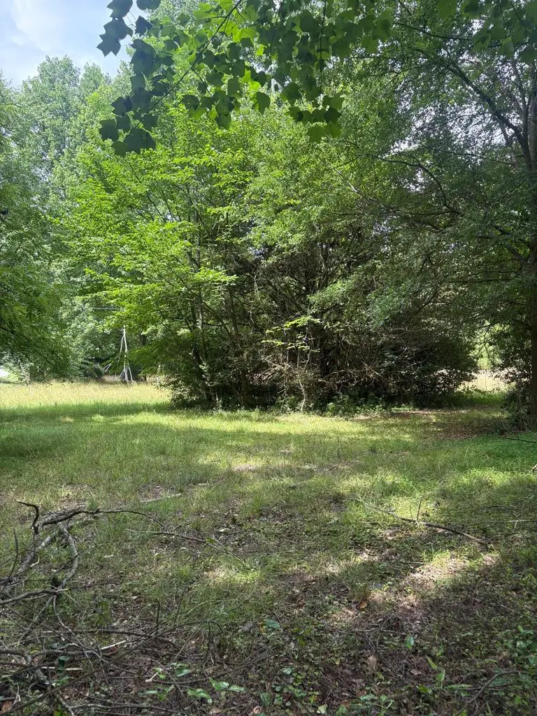 00 Ml King Jr Drive, Jefferson, GA 30549 - #1