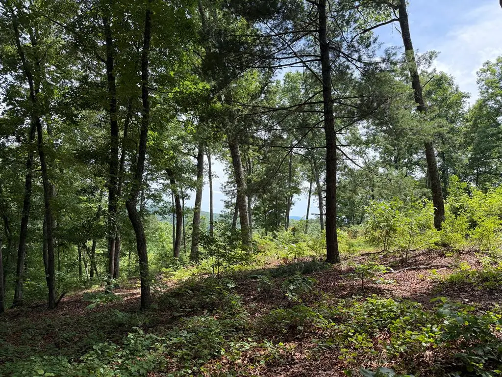 Lot 20 Lake Top Lane, Ellijay, GA 30540 - #1