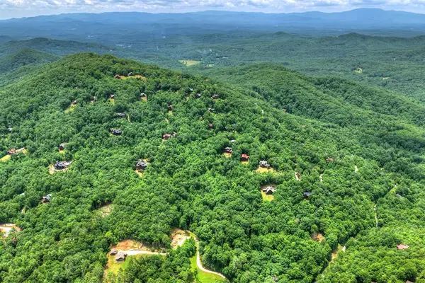 217 Catawba Drive, Mineral Bluff, GA 30559