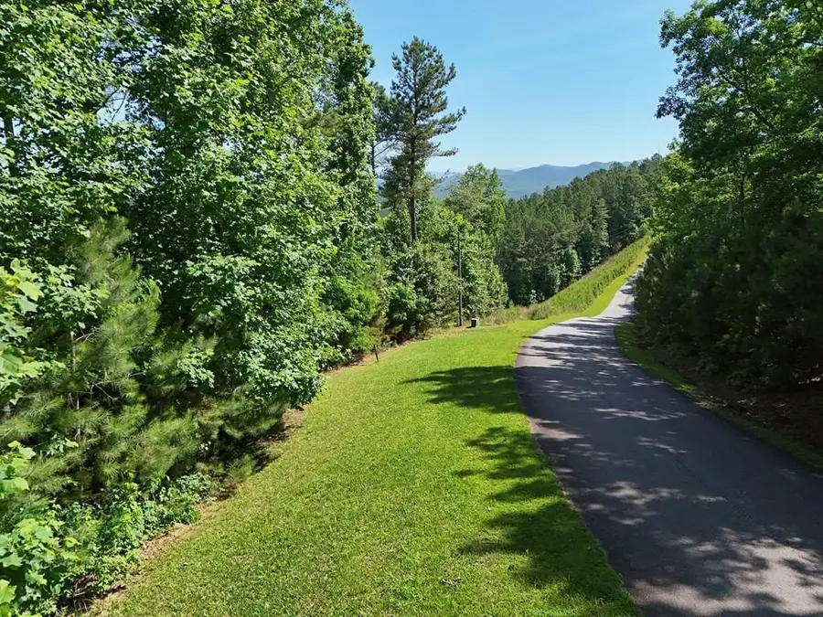 Lot 72 Thirteen Hundred, Blairsville, GA 30512 - #2