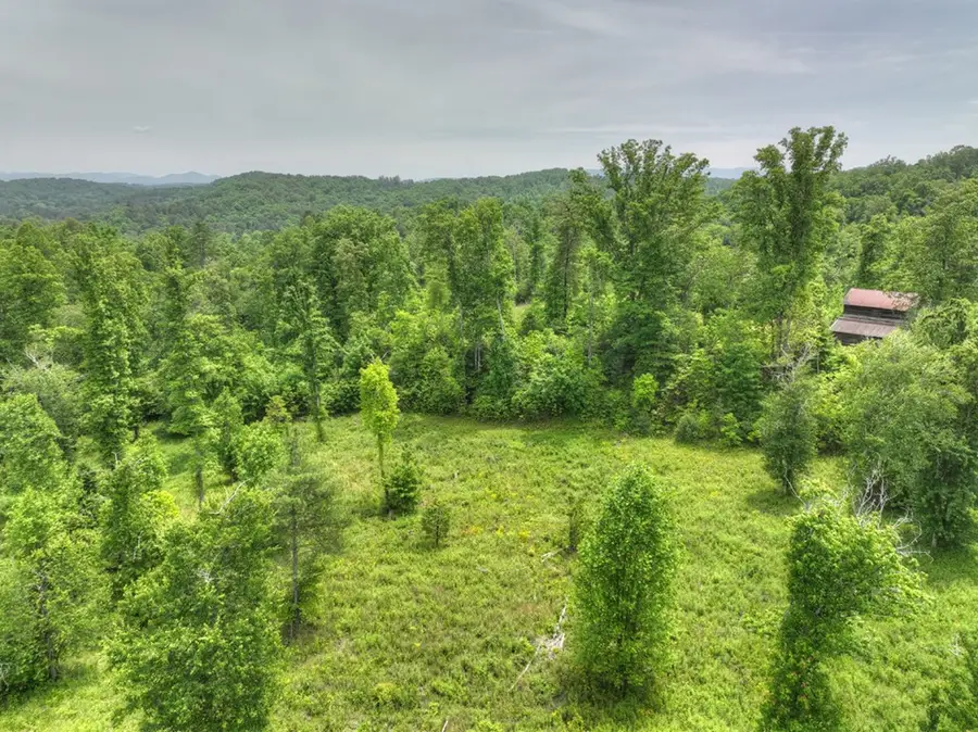 LOT 13 Hidden Acres, Blue Ridge, GA 30513 - #3