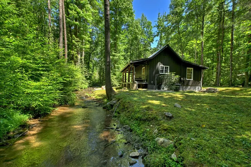 280 Serenity Place, Ellijay, GA 30540 - #1
