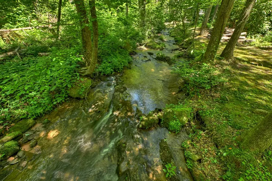 373 Barnes Creek Drive, Ellijay, GA 30540 - #3