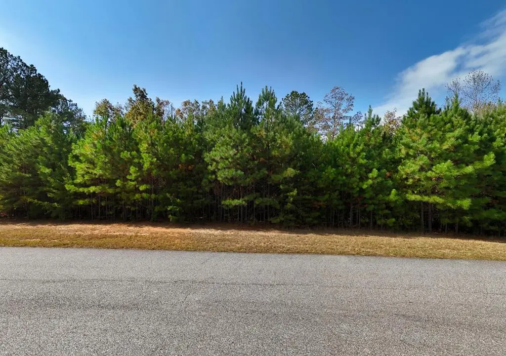 lot 43 Water Oak Lane, Blairsville, GA 30512 - #1