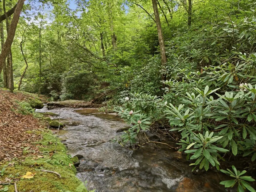 86 Pounding Mill Road, Hayesville, NC 28904 - #1