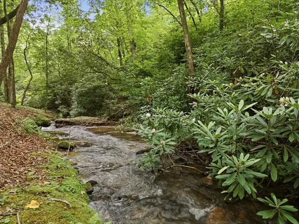 86 Pounding Mill Road, Hayesville, NC 28904