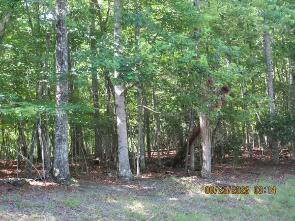 Lot 8 S Quail Cove Circle, Warne, NC 28909