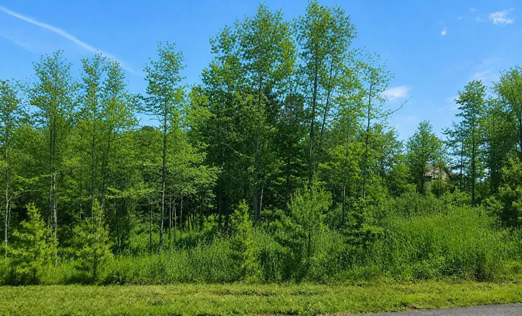 76 Water Oak Lane, Blairsville, GA 30512 - #1