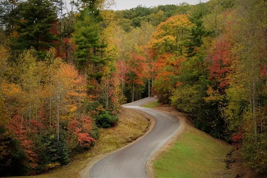 Lot 3 Wild Laurel, Brasstown, NC 28902 - #3