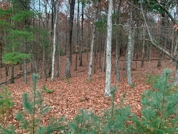 Lot 4 Courtney Lane, Blairsville, GA 30512