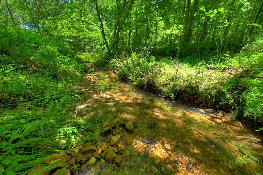 6385 Hwy 2, Epworth, GA 30541 - #2