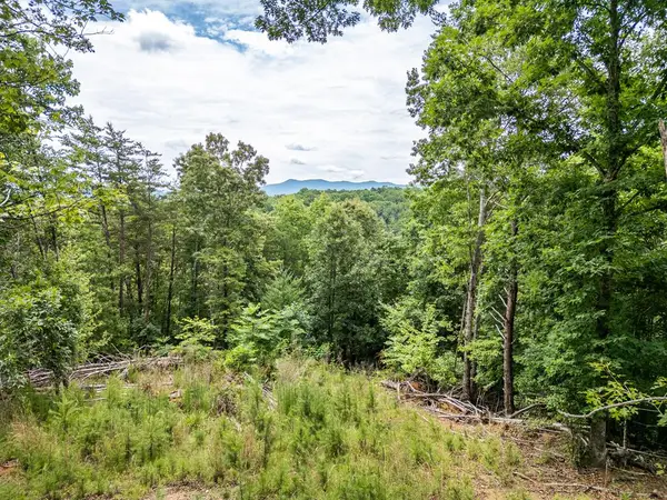 Lt 1 Stormy Ridge, Brasstown, NC 28902
