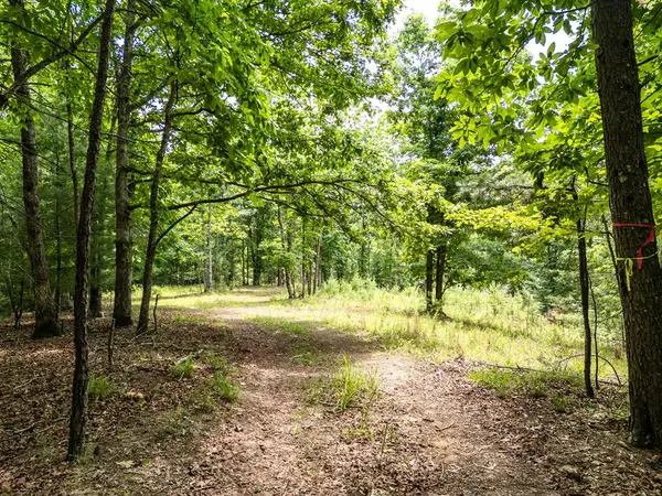 Lt 2 Stormy Ridge, Brasstown, NC 28902
