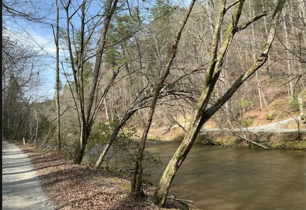 32R Roaring Forks Lane, Ellijay, GA 30540 - #1