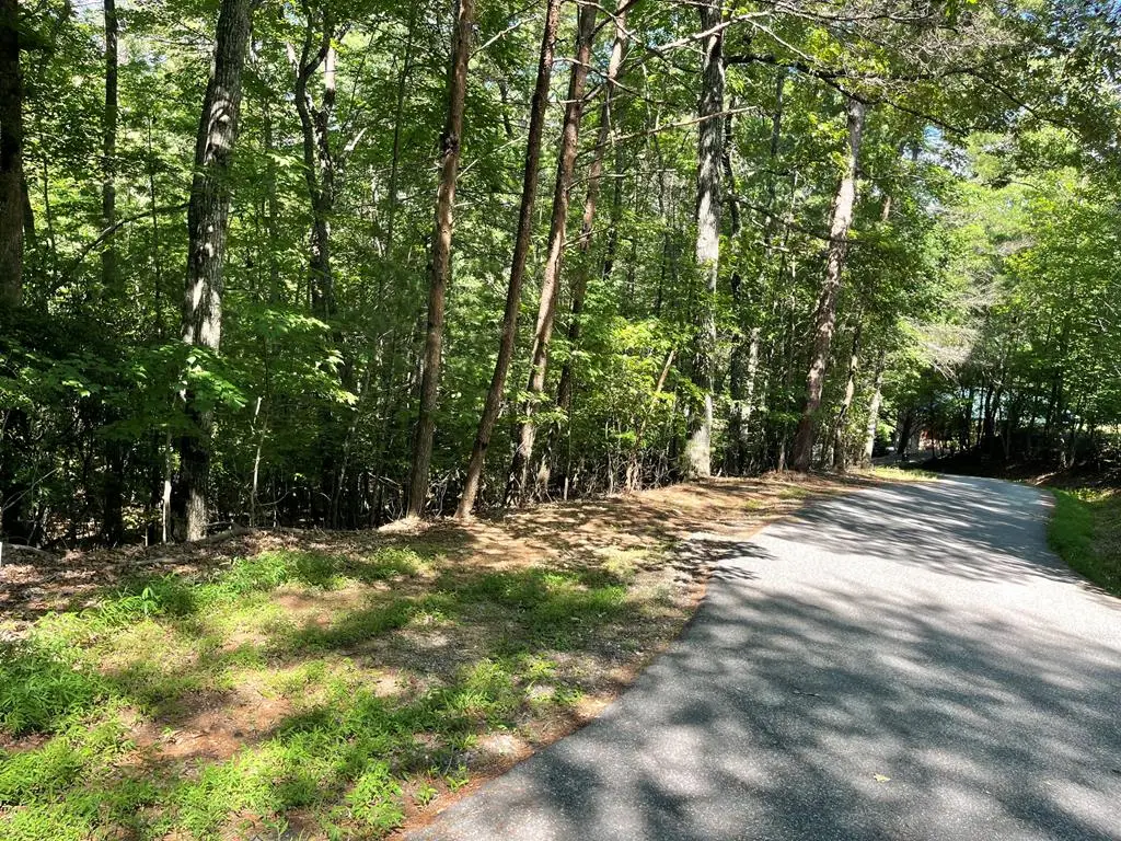 0 Rizzitello Lane, Blairsville, GA 30512 - #1