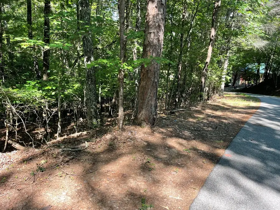 0 Rizzitello Lane, Blairsville, GA 30512 - #2