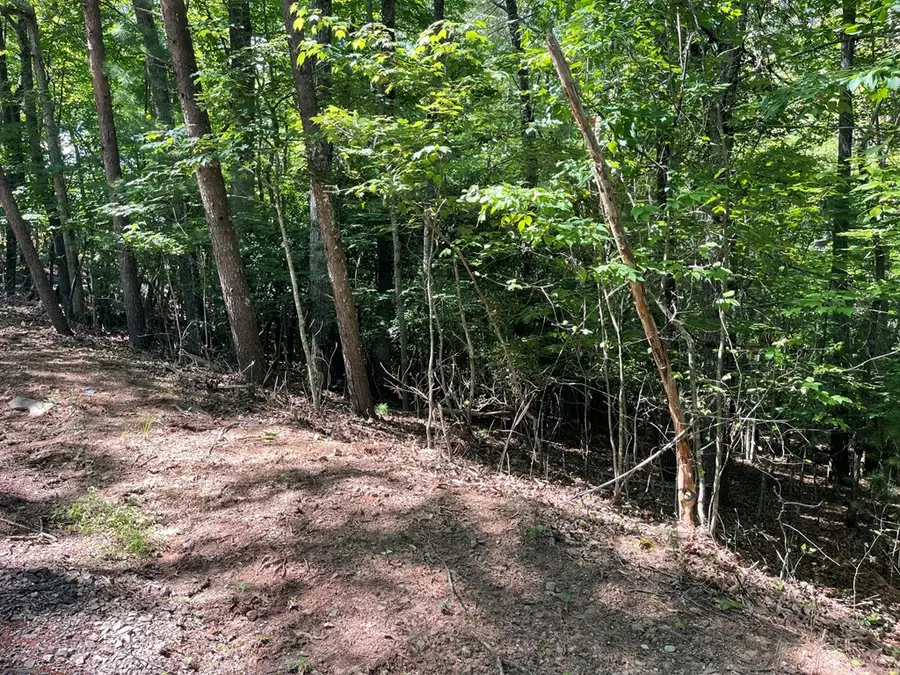 0 Rizzitello Lane, Blairsville, GA 30512 - #3