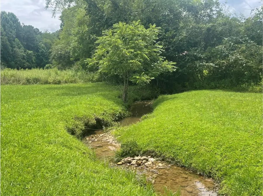 148 Deerfield Meadow Trail, Murphy, NC 28906 - #2