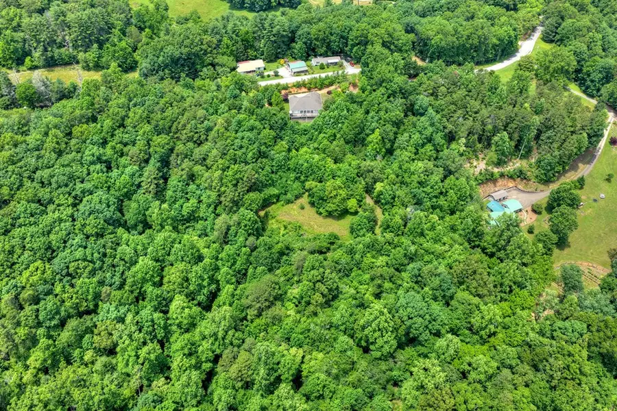 26.29 AC Bullen Gap Road, Blue Ridge, GA 30513 - #2