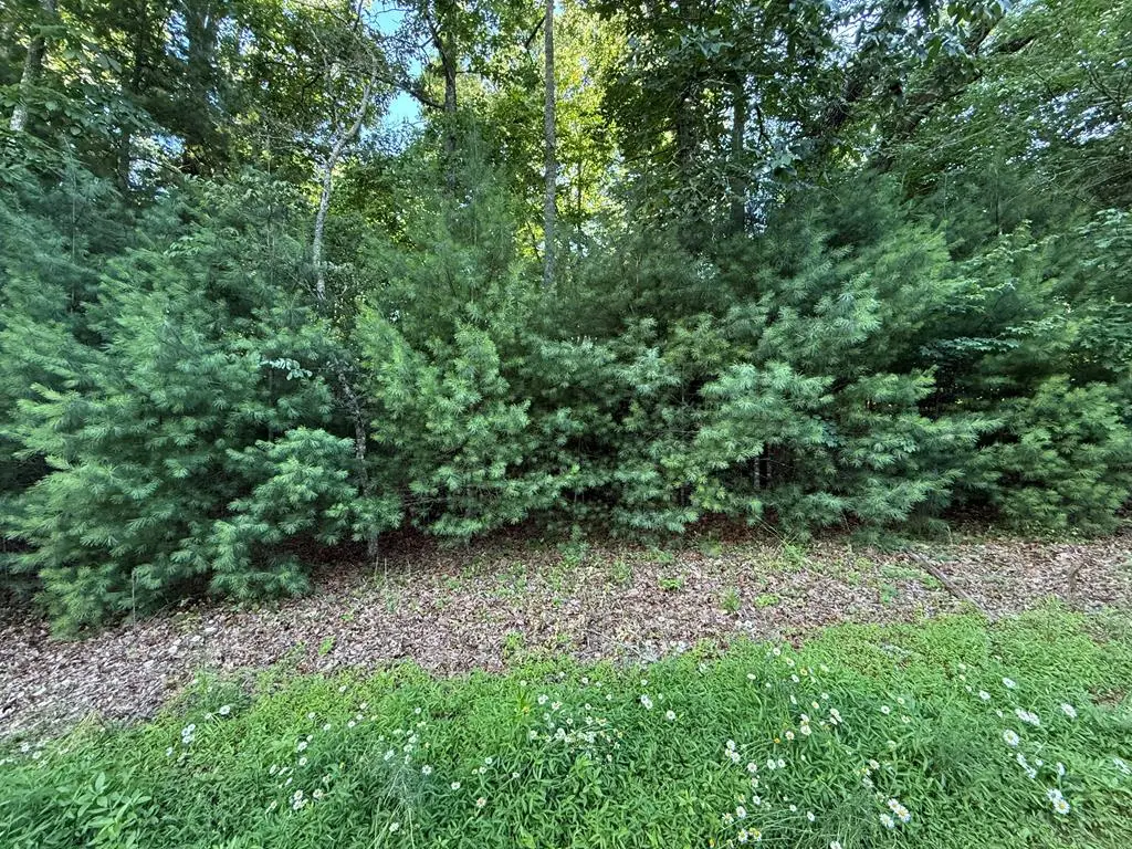 LOT 65 Lennox Point, Blairsville, GA 30512 - #1