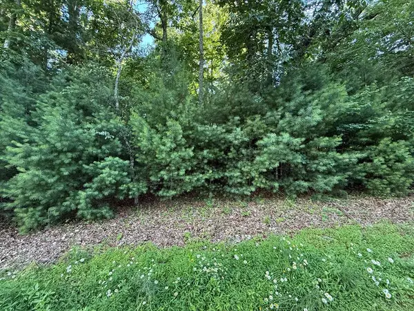LOT 65 Lennox Point, Blairsville, GA 30512