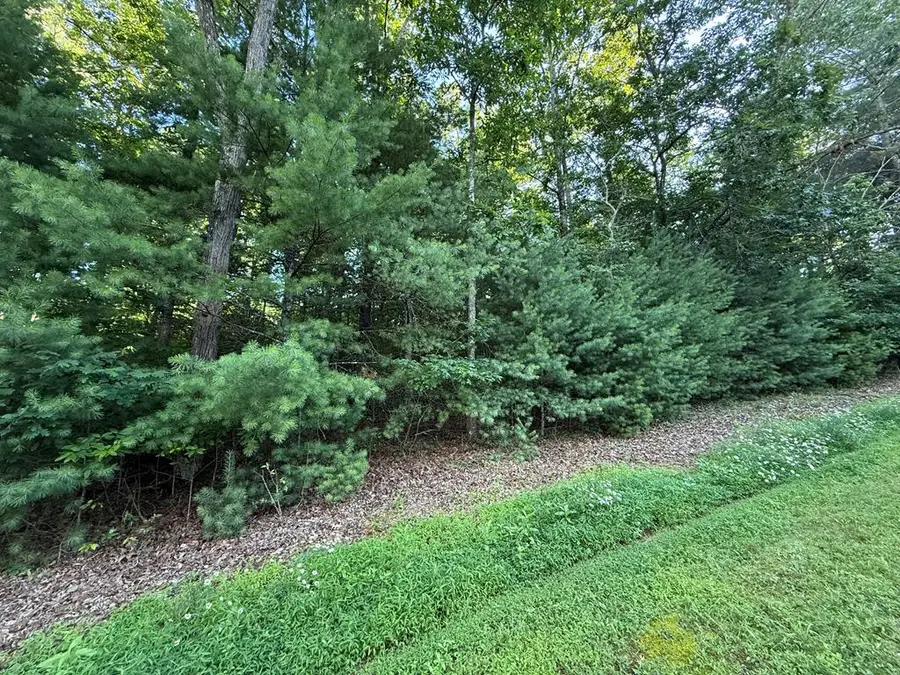 LOT 65 Lennox Point, Blairsville, GA 30512 - #2